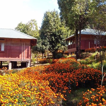 Kalsee Ecolodge Kāskī Exterior foto